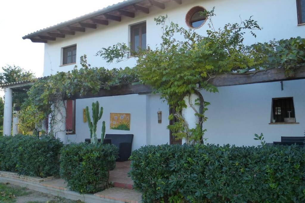 Cortijo Con Encanto Villa Кулера Екстериор снимка